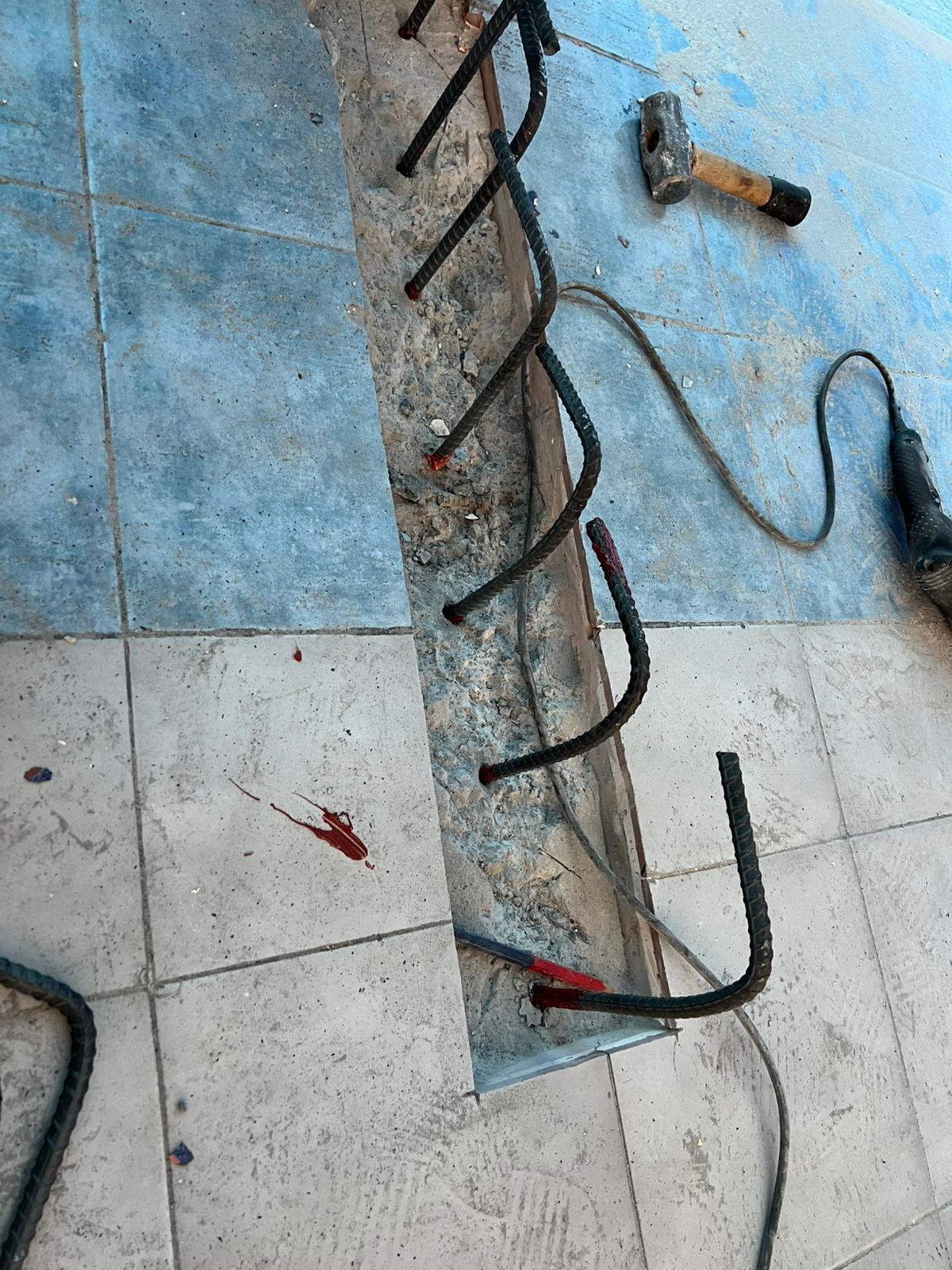 Proyecto 10 - Foto 1