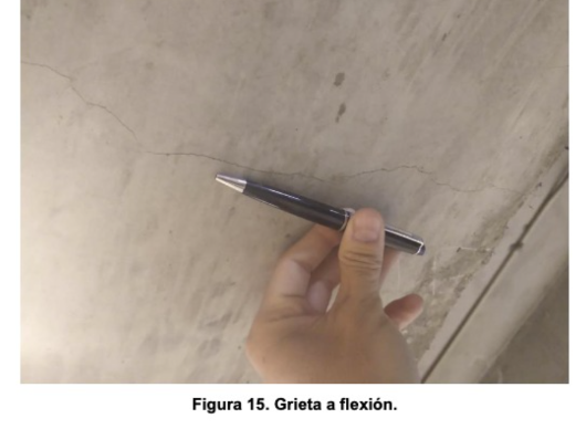 Proyecto 11 - Foto 4