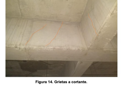 Proyecto 11 - Foto 5