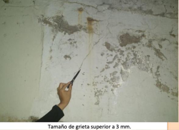 Proyecto 11 - Foto 6