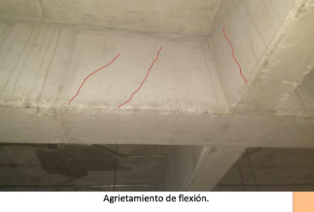 Proyecto 11 - Foto 7